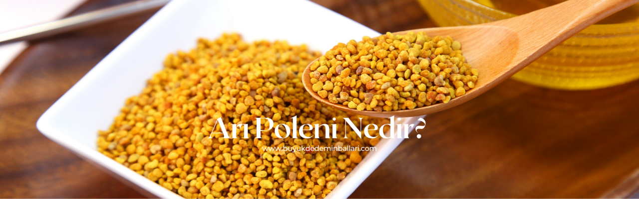 Polen Nedir? Sağlığımız için faydaları nelerdir?