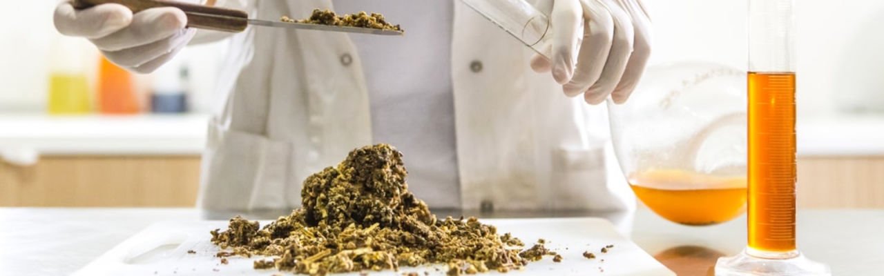 Propolis Nedir? Propolis faydaları nelerdir?