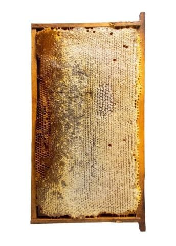 Erzurum Çıta Bal Bütün Petek - Yeni Hasat- 3 kg