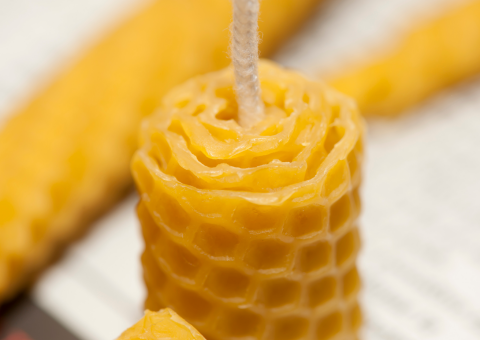 Sarma Balmumu 5cm Kalın