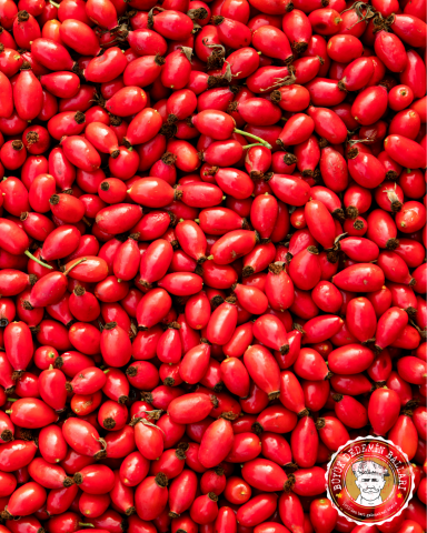 Kars Yabani Kuşburnu Kurusu