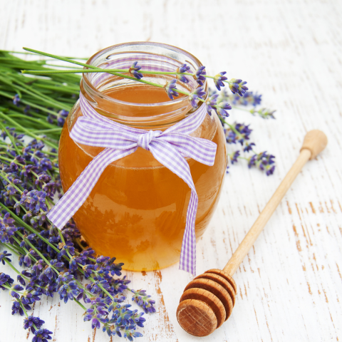 Isparta Lavanta Balı