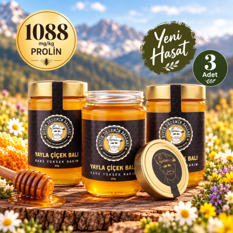 3'lü Kars Yüksek Rakım Yayla Çiçek Balı Net 3 X 850gr 