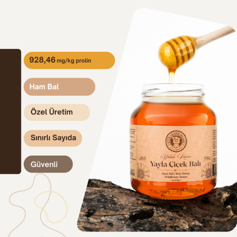 Erzurum Yüksek Rakım Yayla Çiçek Balı